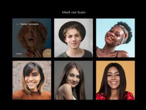 Meet our team template